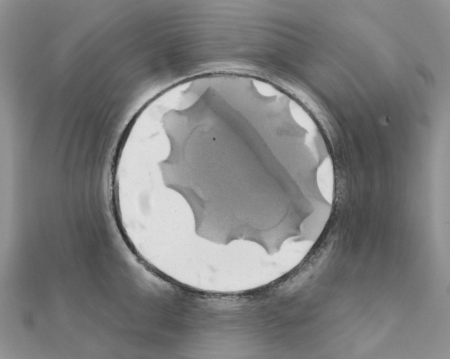 X0000111240999200908131140