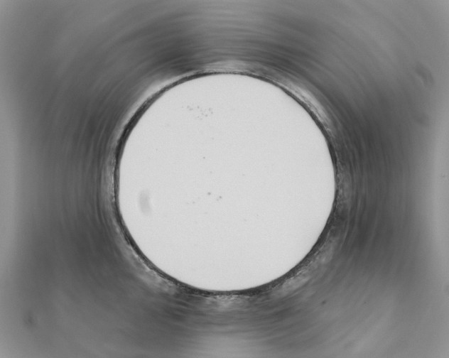 X0000111241000200908131140