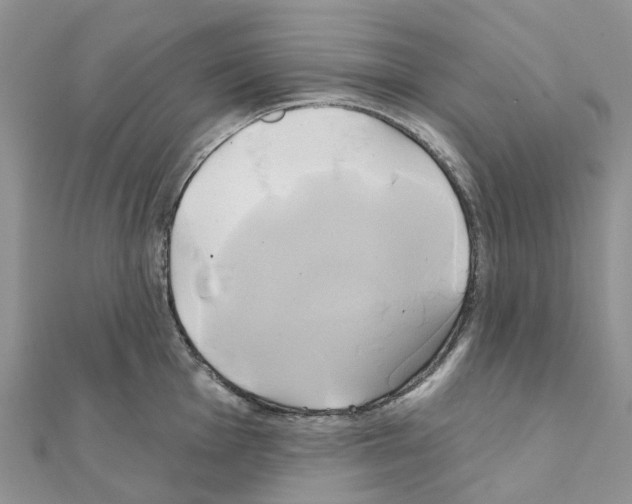 X0000111241001200908131140