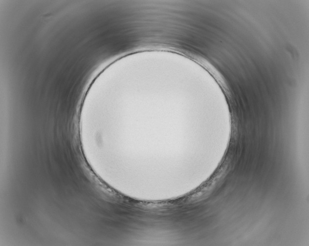 X0000111241004200908131140
