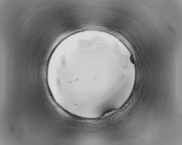 X0000111241005200908131140