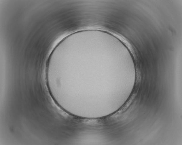 X0000111241006200908131140