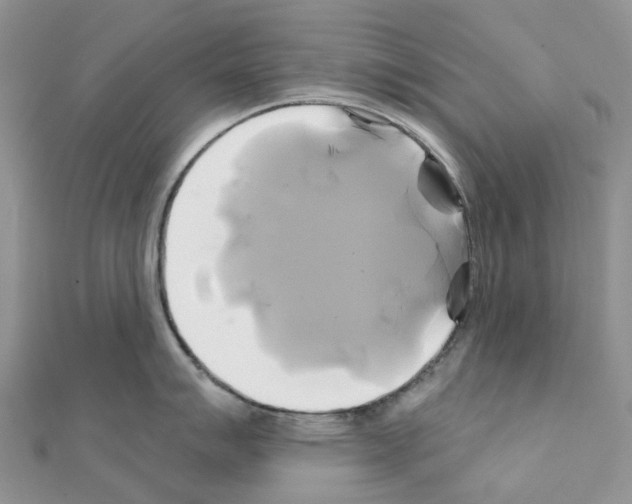 X0000111241007200908131140