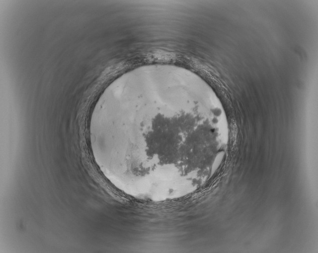 X0000111241009200908131139