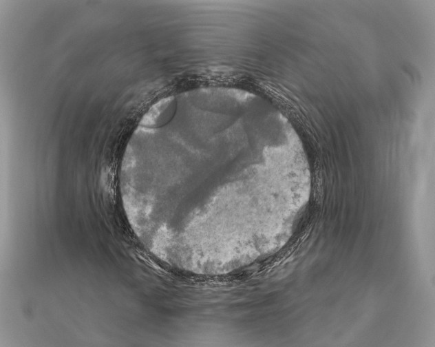X0000111241010200908131139