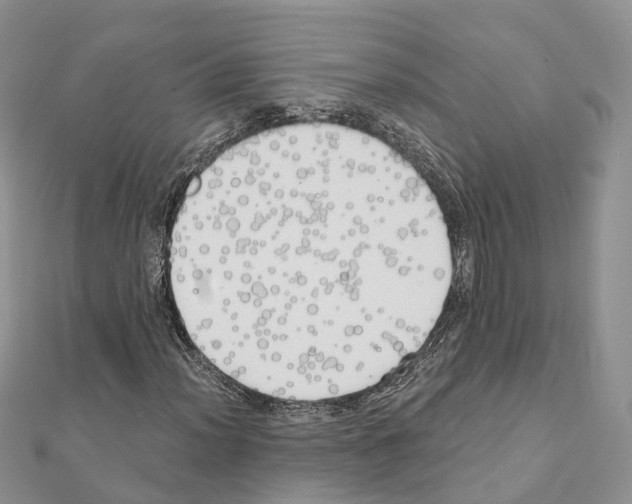 X0000111241012200908131139