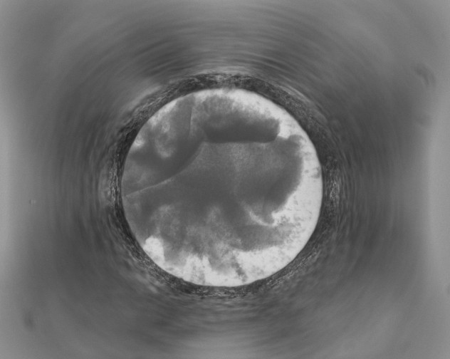X0000111241014200908131139