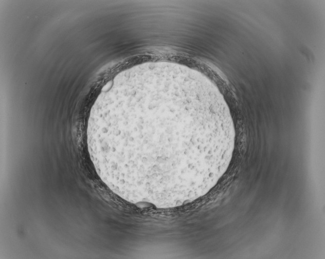 X0000111241016200908131139