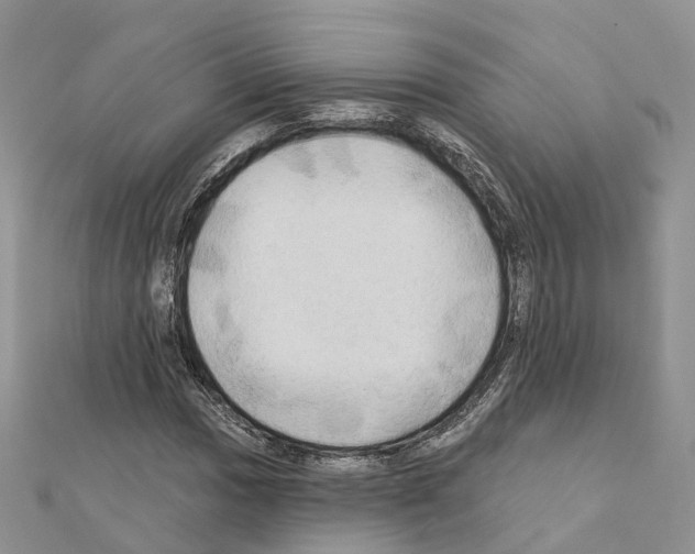 X0000111241017200908131139