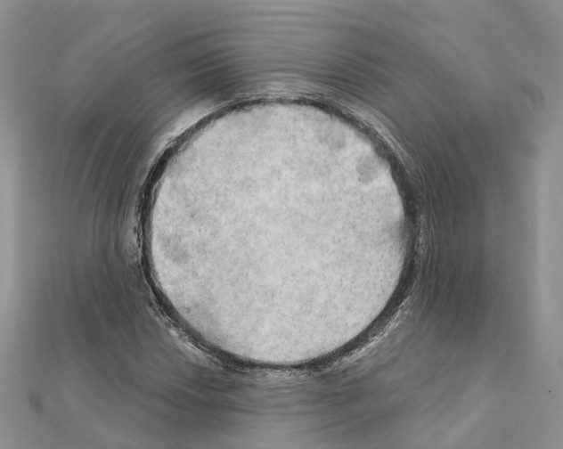 X0000111241018200908131139