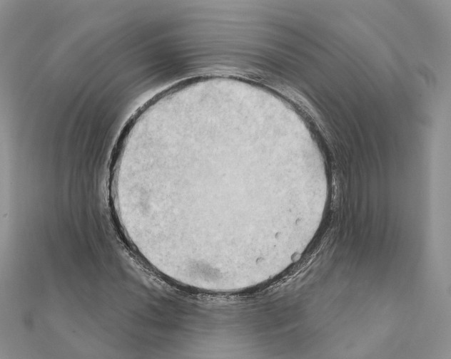 X0000111241020200908131140