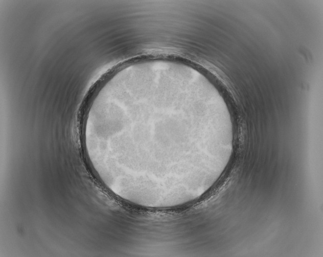 X0000111241022200908131140