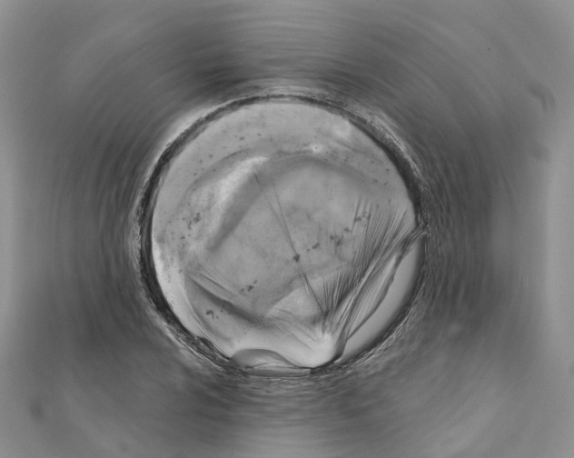 X0000111241024200908131140