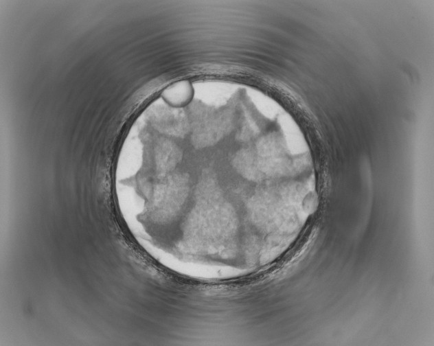 X0000111241025200908131140