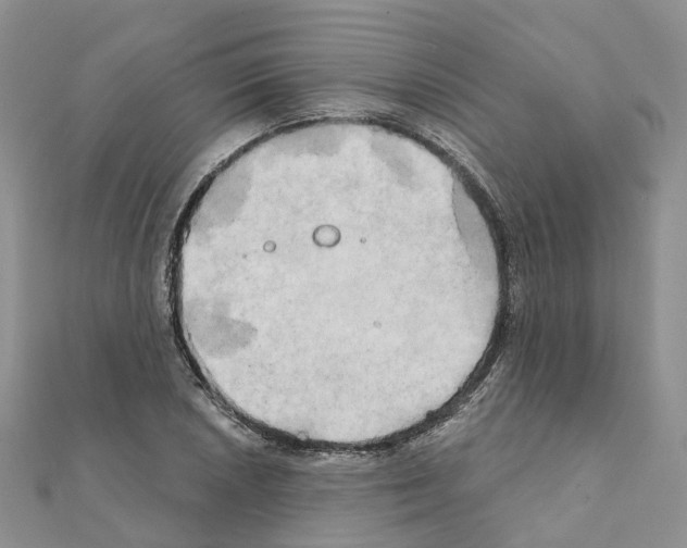 X0000111241026200908131140