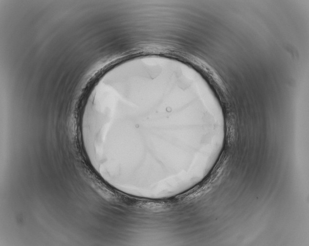 X0000111241027200908131140