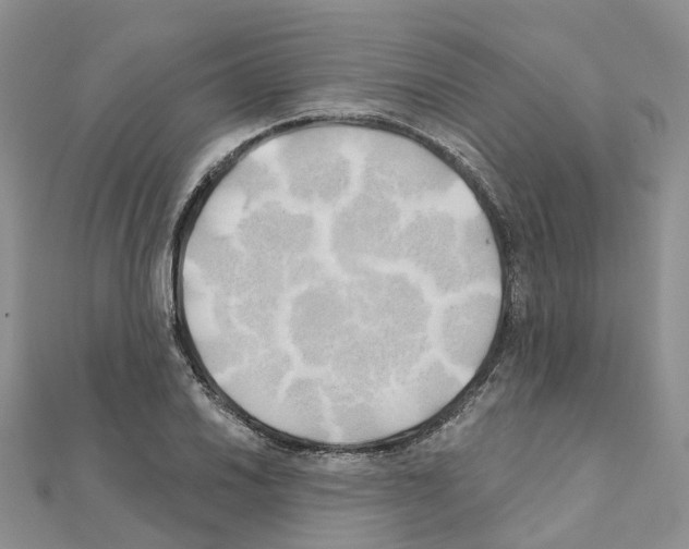X0000111241030200908131140