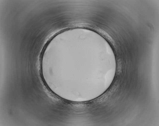 X0000111241031200908131140