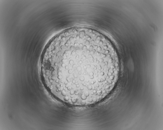 X0000111241032200908131140
