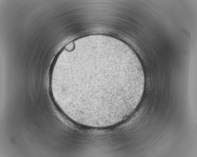 X0000111241034200908131140