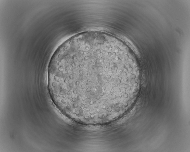 X0000111241036200908131140