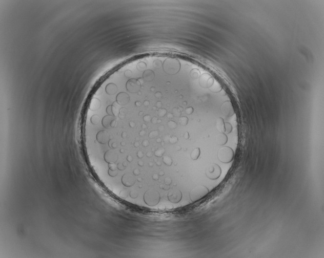 X0000111241037200908131140