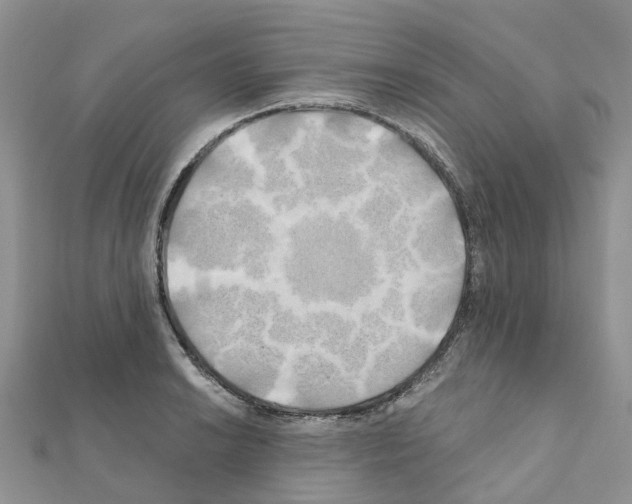 X0000111241038200908131140