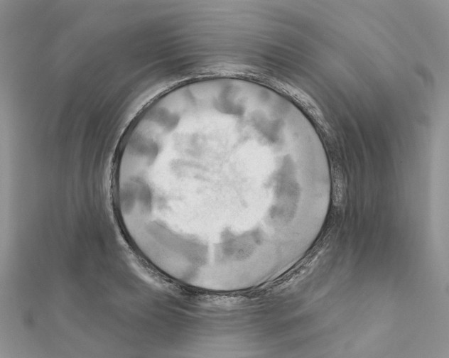 X0000111241039200908131140