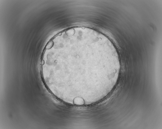 X0000111241040200908131140