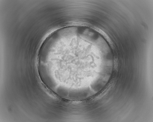 X0000111241043200908131140