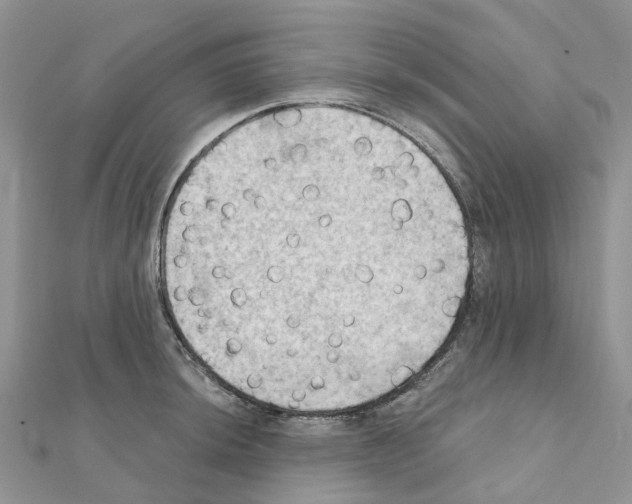 X0000111241044200908131140