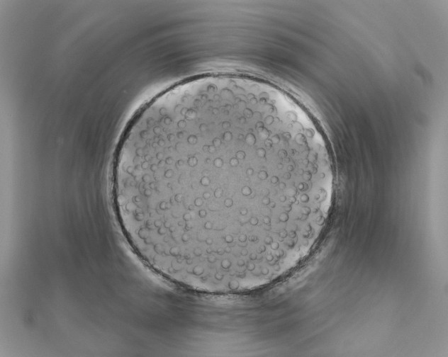 X0000111241045200908131140
