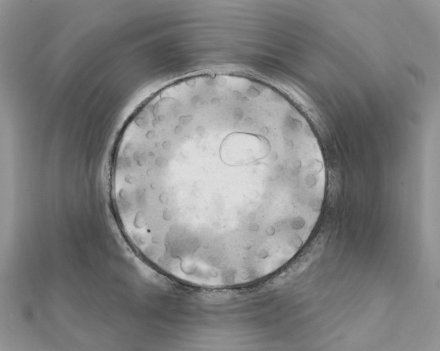 X0000111241046200908131140