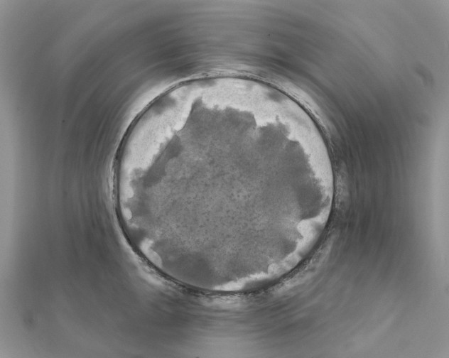 X0000111241047200908131140