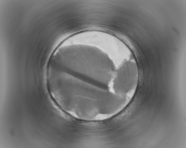 X0000111241048200908131140