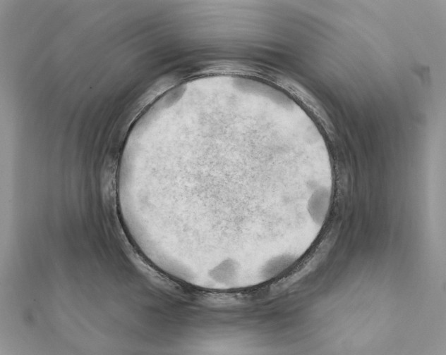 X0000111241049200908131140