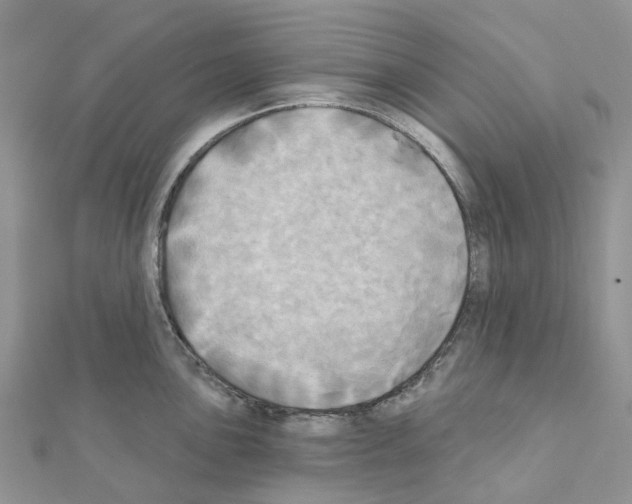 X0000111241051200908131140