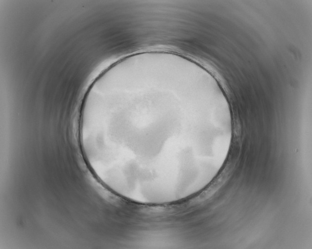 X0000111241054200908131140