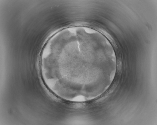 X0000111241055200908131140