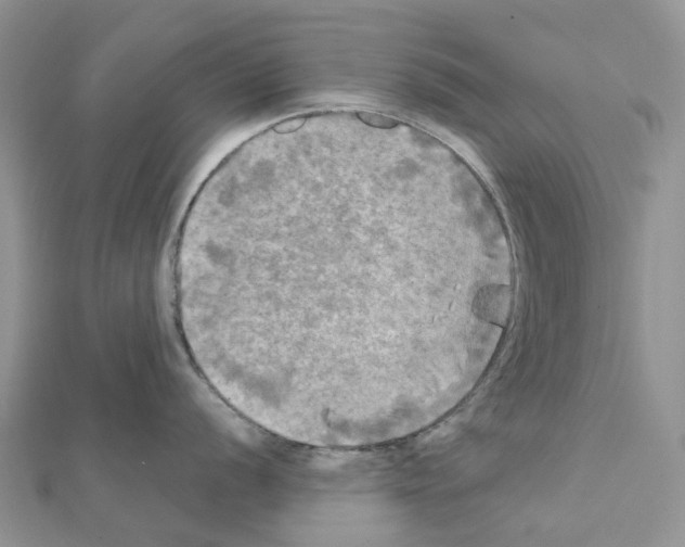 X0000111241056200908131140