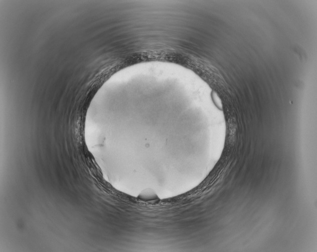 X0000111241060200908131139