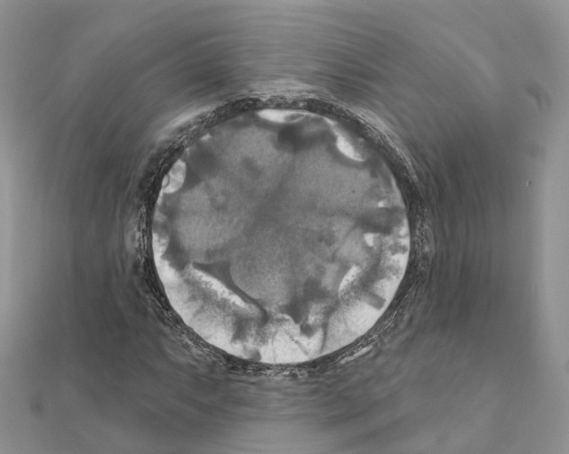 X0000111241063200908131139