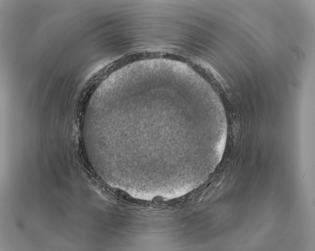 X0000111241064200908131139