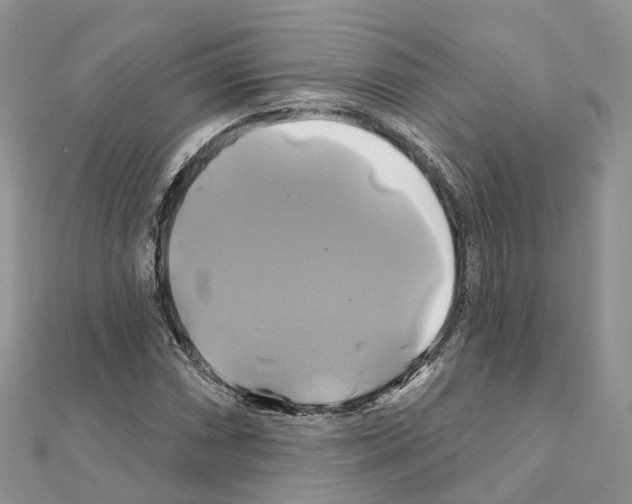 X0000111241066200908131139