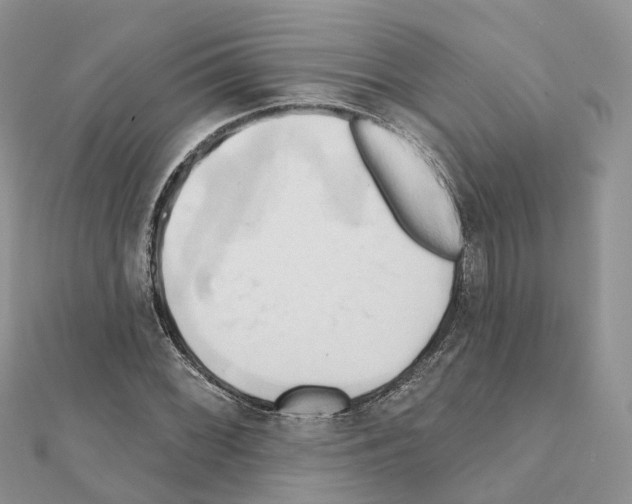 X0000111241068200908131139