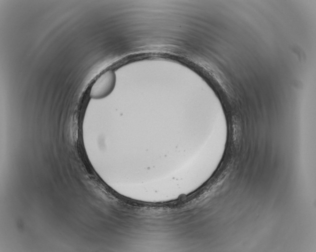 X0000111241069200908131139