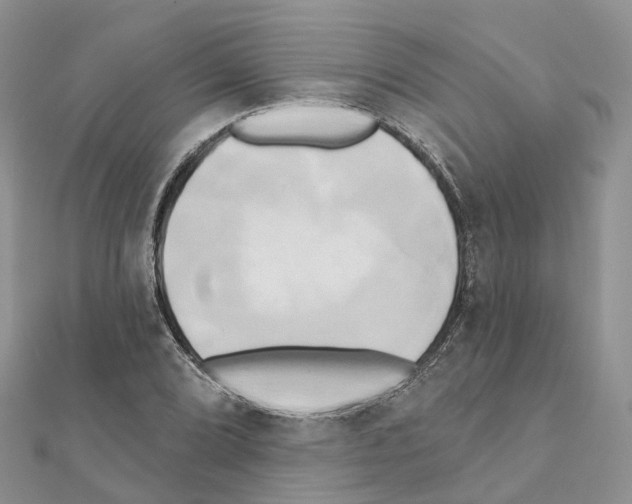 X0000111241072200908131139