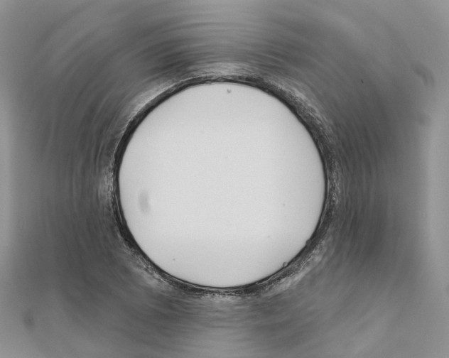 X0000111241073200908131139