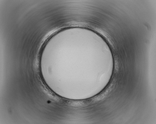 X0000111241074200908131139