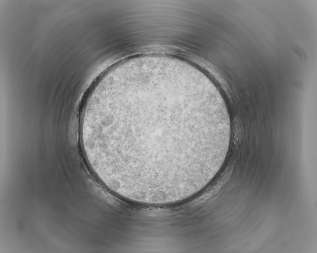 X0000111241075200908131139